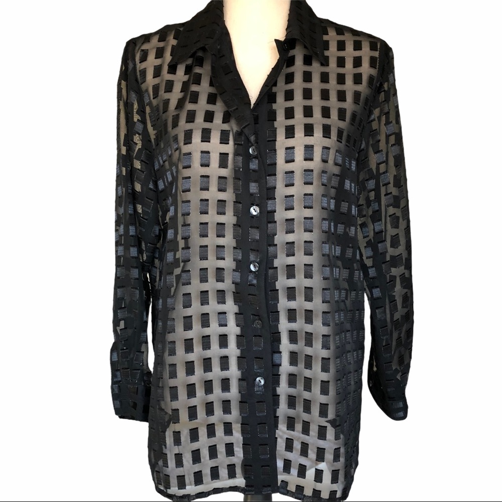 Notations Clothing Co Black Sheer Long Sleeve Top